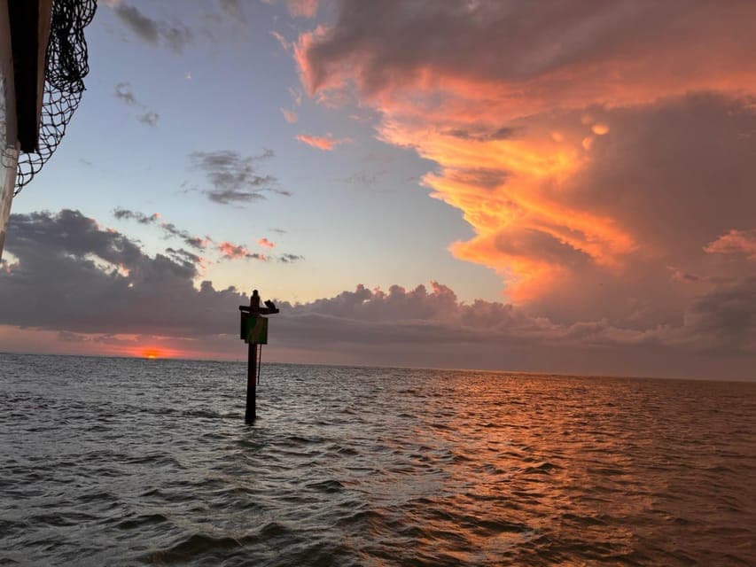 Sunset & Dolphin Cruise from Gulfport