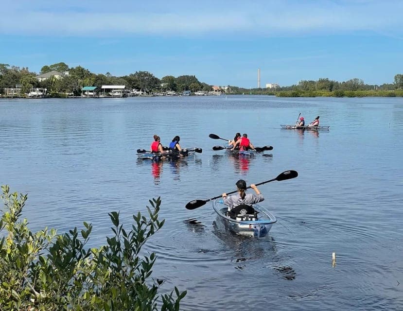 Clear Kayak Eco-Tour with Manatee Viewing